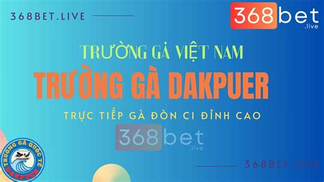 live trường gà 888|Trường Gà Dakpuer 888: Thế Giới Đá Gà C1 Trực Tuyến.